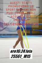 25561_M15-