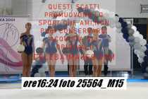 25564_M15-
