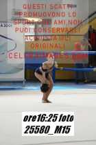 25580_M15-