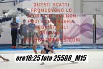 25588_M15-