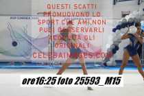 25593_M15-
