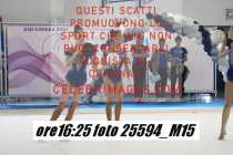 25594_M15-