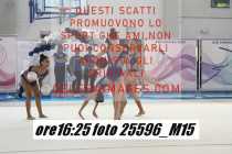 25596_M15-
