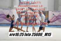 25606_M15-