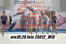 25612_M15-