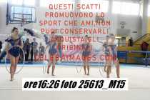 25613_M15-