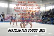 25636_M15-