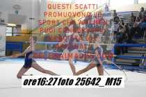 25642_M15-