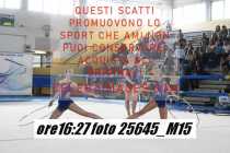 25645_M15-