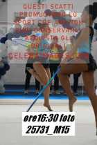 25731_M15-