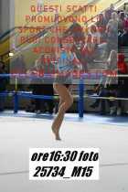 25734_M15-