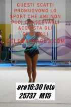 25737_M15-