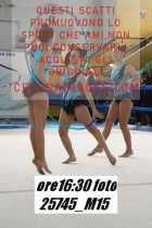 25745_M15-