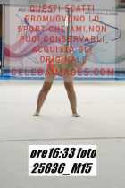 25836_M15-