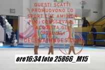 25866_M15-