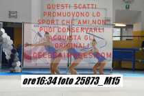25873_M15-