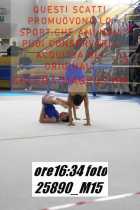 25890_M15-