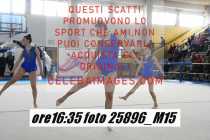25896_M15-