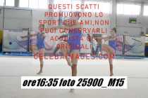 25900_M15-