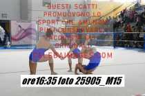 25905_M15-