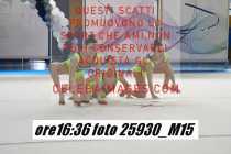 25930_M15-