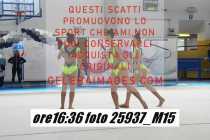 25937_M15-