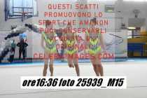 25939_M15-