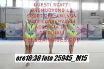 25945_M15-