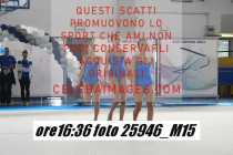 25946_M15-