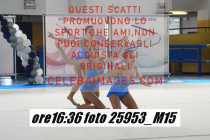 25953_M15-