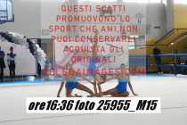 25955_M15-