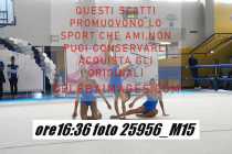 25956_M15-
