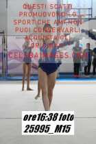 25995_M15-