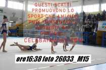 26033_M15-
