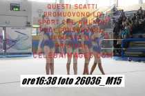 26036_M15-