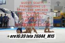 26044_M15-