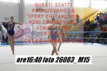 26083_M15-
