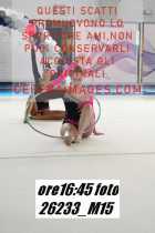 26233_M15-
