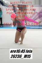 26236_M15-