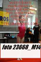 23668_M14-