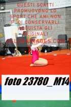 23780_M14-
