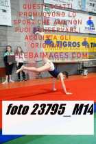 23795_M14-