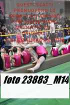 23883_M14-
