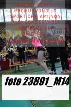 23891_M14-