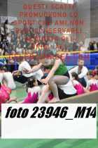 23946_M14-