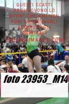 23953_M14-