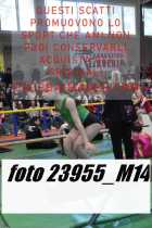 23955_M14-