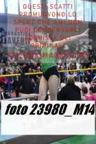 23980_M14-
