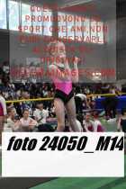 24050_M14-