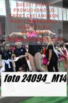 24094_M14-